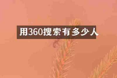用360搜索有多少人