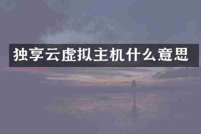 独享云虚拟主机什么意思