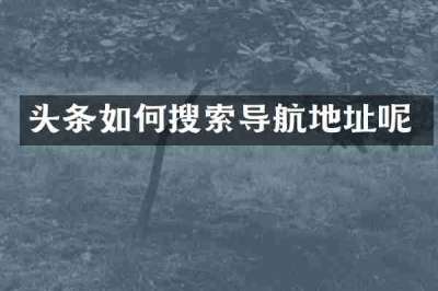 头条如何搜索导航地址呢