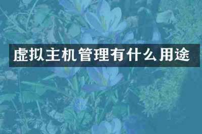 虚拟主机管理有什么用途