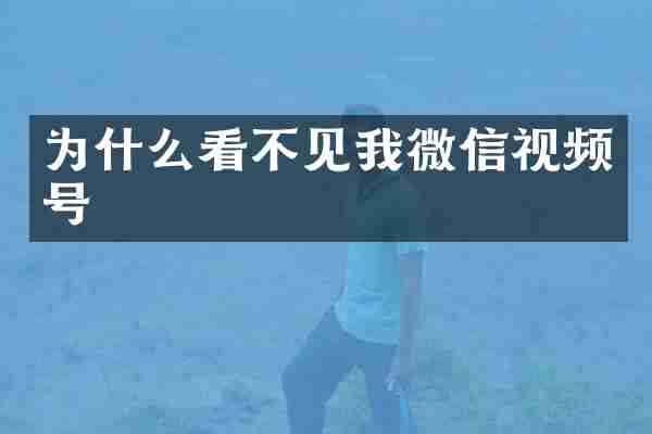为什么看不见我微信视频号