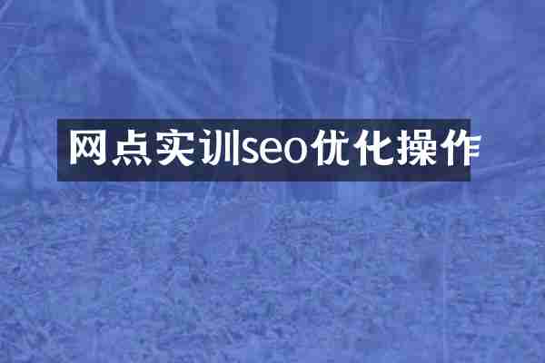 网点实训seo优化操作