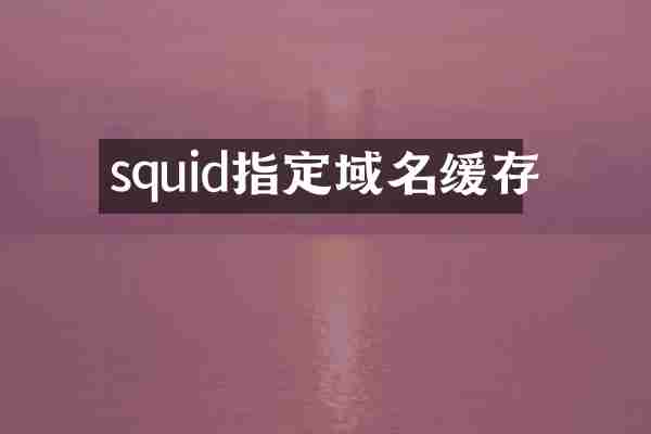 squid指定域名缓存