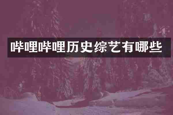 哔哩哔哩历史综艺有哪些