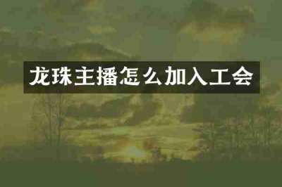 龙珠主播怎么加入工会