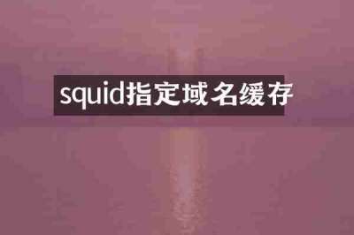 squid指定域名缓存