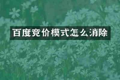 百度竞价模式怎么消除