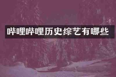 哔哩哔哩历史综艺有哪些