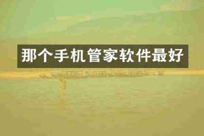 那个手机管家软件最好