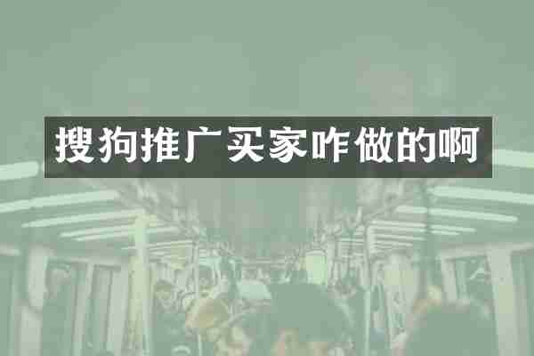 搜狗推广买家咋做的啊
