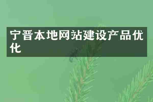 宁晋本地网站建设产品优化