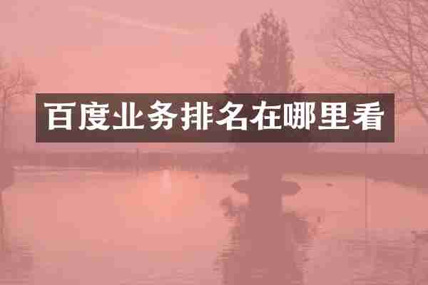 百度业务排名在哪里看