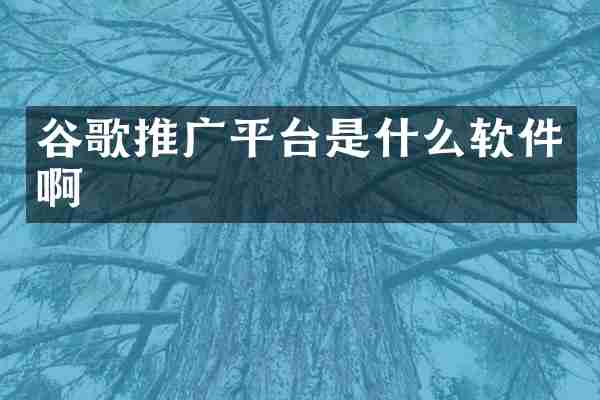 谷歌推广平台是什么软件啊