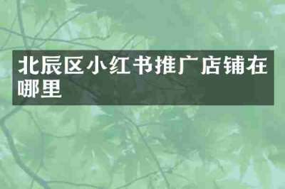 北辰区小红书推广店铺在哪里