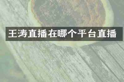 王涛直播在哪个平台直播