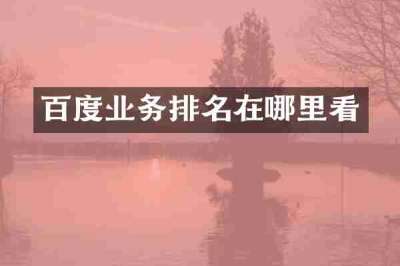 百度业务排名在哪里看