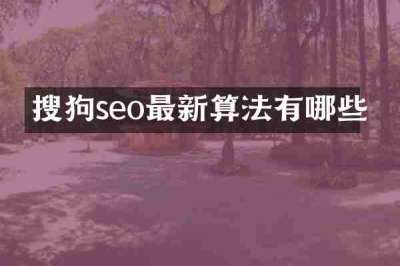 搜狗seo最新算法有哪些