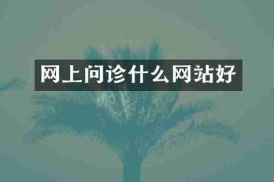 网上问诊什么网站好