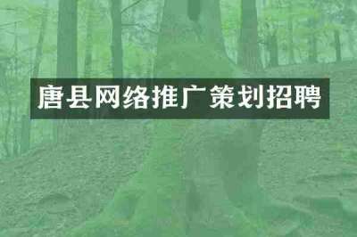 唐县网络推广策划招聘