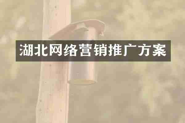 湖北网络营销推广方案