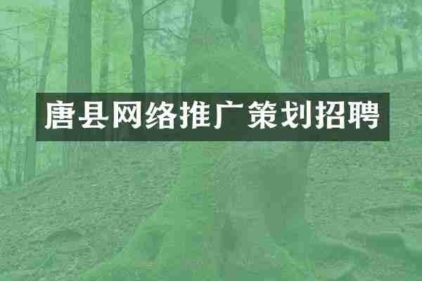 唐县网络推广策划招聘
