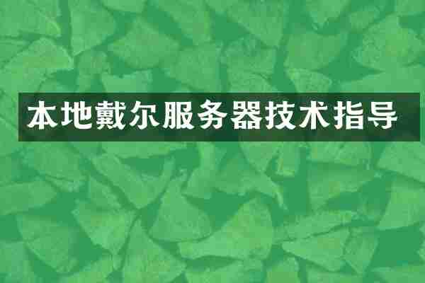 本地戴尔服务器技术指导