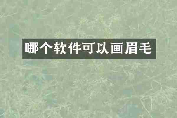 哪个软件可以画眉毛