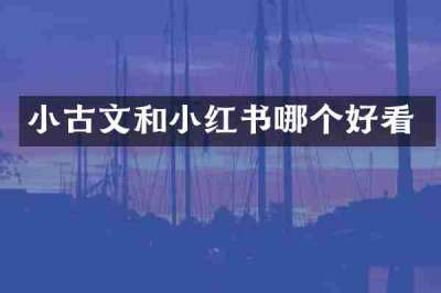 小古文和小红书哪个好看