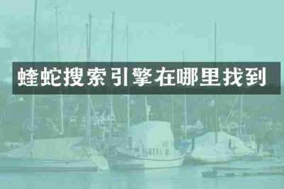 蝰蛇搜索引擎在哪里找到