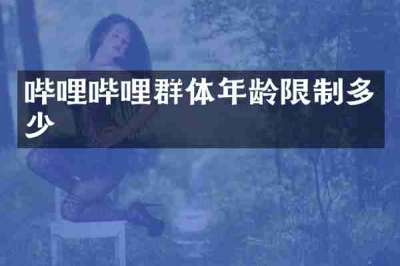 哔哩哔哩群体年龄限制多少