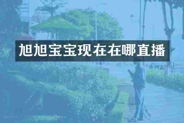 旭旭宝宝现在在哪直播