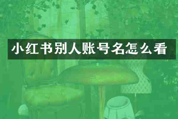 小红书别人账号名怎么看