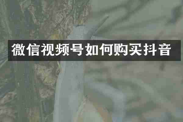 微信视频号如何购买抖音