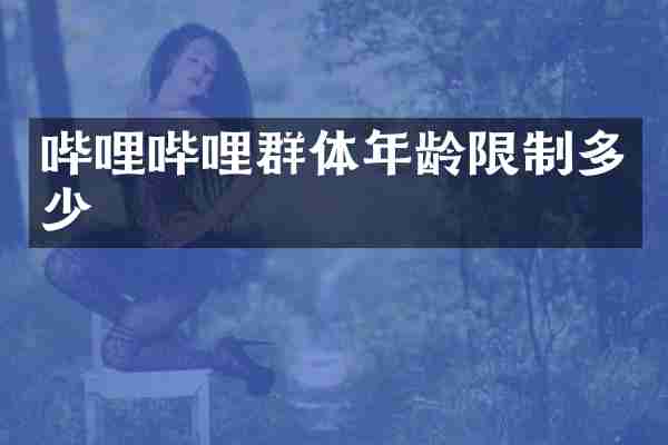 哔哩哔哩群体年龄限制多少
