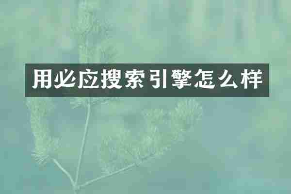 用必应搜索引擎怎么样