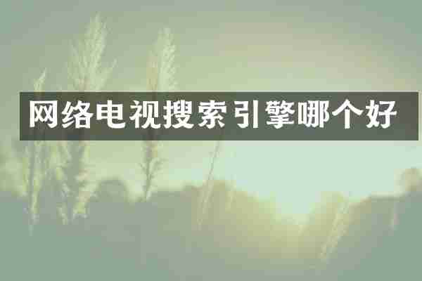 网络电视搜索引擎哪个好
