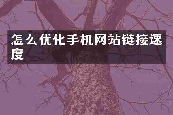 怎么优化手机网站链接速度