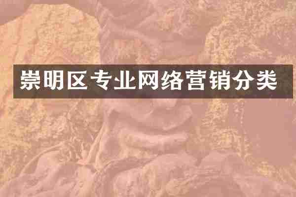崇明区专业网络营销分类