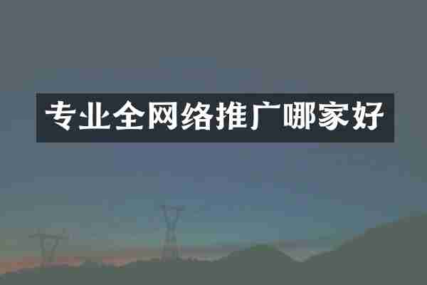 专业全网络推广哪家好