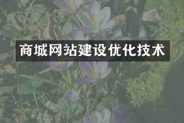 商城网站建设优化技术
