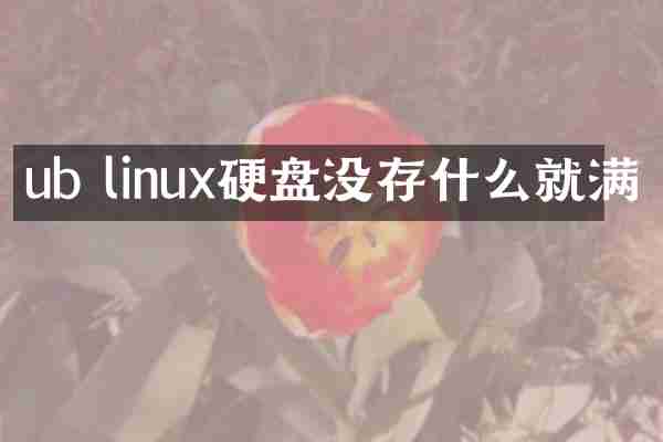 ub linux硬盘没存什么就满