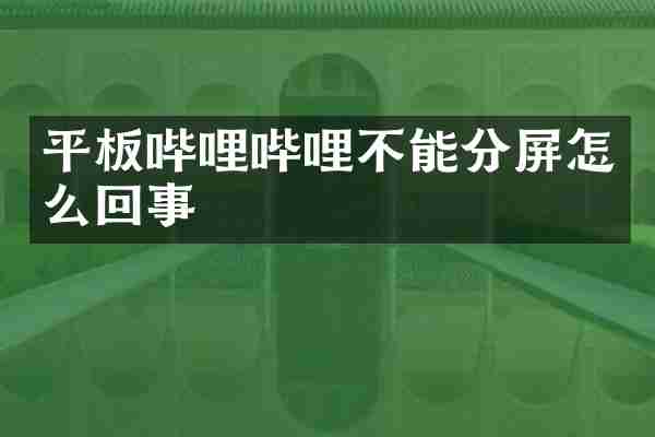 平板哔哩哔哩不能分屏怎么回事
