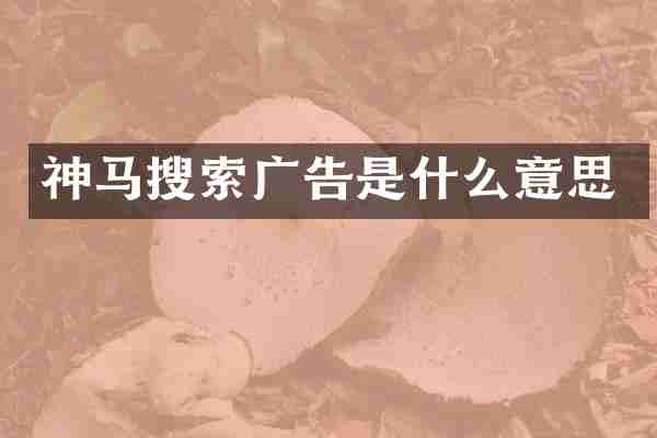 神马搜索广告是什么意思