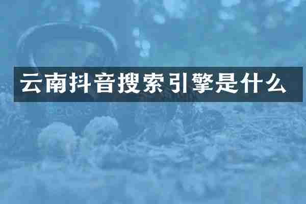 云南抖音搜索引擎是什么