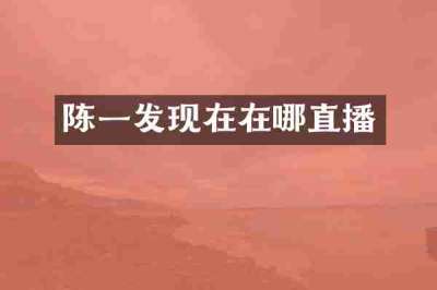 陈一发现在在哪直播