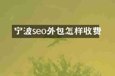 宁波seo外包怎样收费