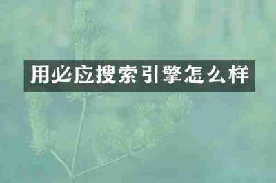 用必应搜索引擎怎么样