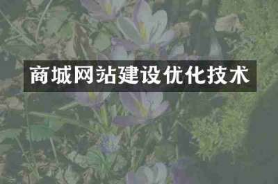商城网站建设优化技术