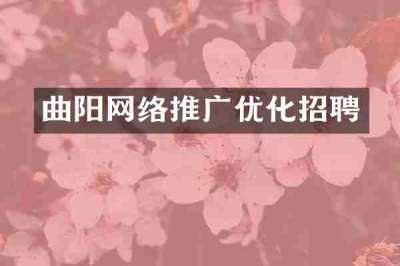 曲阳网络推广优化招聘
