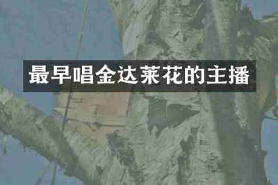 最早唱金达莱花的主播